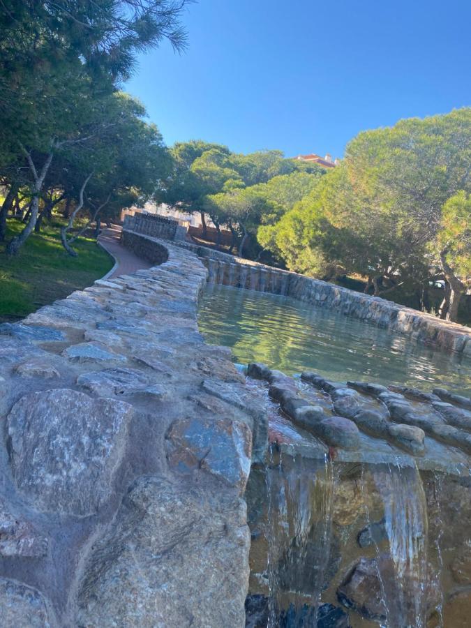 Pino Parquemar * La Mata (Torrevieja)